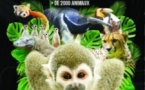 Biotropica - Les Jardins Animaliers - Vente Flash