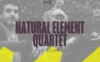 Natural Element Quartet