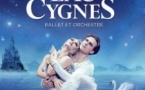 Le Lac des Cygnes - Ballet & Orchestre - Tournée 2024