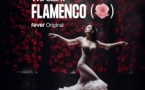 We call it Flamenco : un spectacle unique de danse espagnole