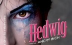 Hedwig and the Angry Inch - Café de la Danse, Paris