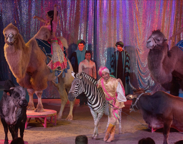 Le conte des 1001 nuits-Le grand groupe d’animaux exotiques / Copyright Cirque Medrano Le conte des 1001 nuits-Le grand groupe d’animaux exotiques / Copyright Cirque Medrano