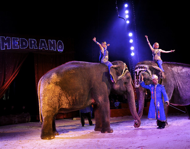 Légende indienne-Les fameux éléphants du cirque Medrano / Copyright Cirque Medrano Légende indienne-Les fameux éléphants du cirque Medrano / Copyright Cirque Medrano