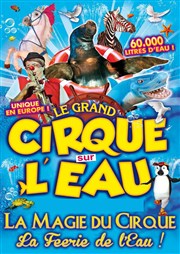 "Le Grand Cirque Sur l'Eau" en tournée prochainement sur la Savoie ! + MEGA CONCOURS "Le Grand Cirque Sur l'Eau" en tournée prochainement sur la Savoie ! + MEGA CONCOURS