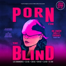 Porn For The Blind