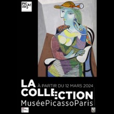 Billet Collection et Exposition - Revoir Picasso