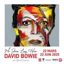 David Bowie, Mr Jones' Long Hair - Exposition Photos