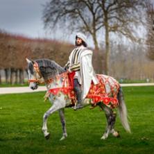 Spectacle Chevaux