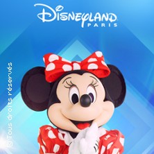 Disneyland Paris 1 Jour - 1 Parc daté
