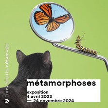 Métamorphoses (+ Les Expositions)