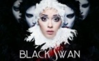Black Swan - Szeged Contemporary Dance Company - Le 13ème Art, Paris