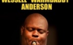 Wessell Anderson - Le Blues dans Toutes ses Couleurs