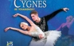 Le Lac des Cygnes - The Ukrainian Ballet of Odessa