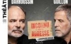 Inconnu à Cette Adresse - Jean-Pierre Darroussin & Stéphane Guillon