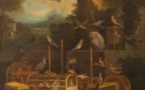 Le Chant des Oiseaux - Armaen