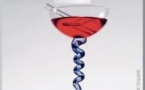 Un Elixir d'Amour - Théâtre des Champs-Elysées, Paris