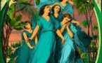 Verte Est la Nuit #8  Avec : Tvod, Hotwax, Djanina