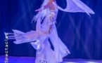 Le Cirque sur Glace
