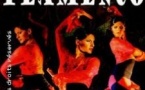 Cabaret Flamenco