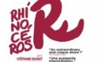 Rhinocéros