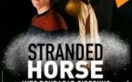 Stranded Horse Boubacar Cissokho