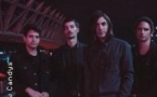 New Candys + Guest