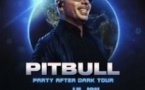 Pitbull - Party After Dark
