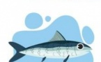 Super Sardine et les Comptines