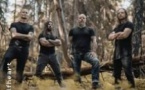 Wolfheart