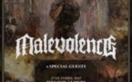 Malevolence