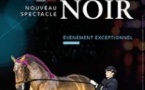 Le Cadre Noir De Saumur