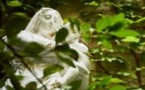 Vive le Sujet ! Tentatives - Série 1 - Festival d'Avignon