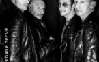 Les Sales Majestés + Guest