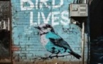 Edouard Pennes - Bird Lives