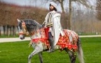 Spectacle Chevaux