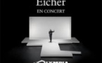 Stephan Eicher en Concert