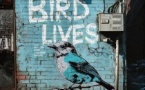 EDOUARD PENNES – BIRD LIVES