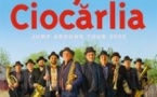 Fanfare Ciocarlia - Tournée