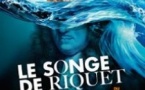 Le Songe de Riquet: Aux Sources du Canal du Midi, l'Expérience Immersive