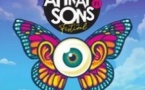 Festival Attrap'Sons #5