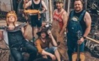 Steve'N'Seagulls
