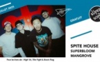 Spite House • Superbloom • Mangrove