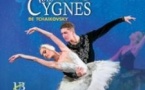 Le Lac des Cygnes - The Ukrainian Ballet of Odessa