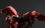 Alonzo King Lines Ballet
