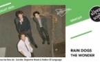 Rain Dogs • The Wonder