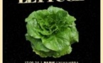Lettuce
