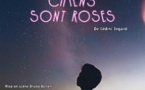 Tous les Chiens Sont Roses - Théâtre de L'Essaïon, Paris