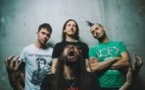 Ultra Vomit ( Tournée )