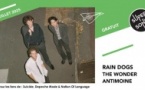 Rain Dogs • The Wonder • Antimoine