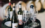 Cours de dégustation au Musée du Vin